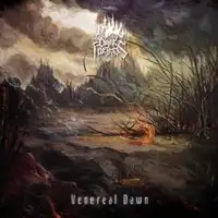 Dark Fortress - Venereal Dawn album cover