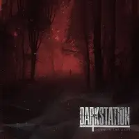 Dark Station - Down In The Dark album cover