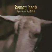 Demon Head - Thunder On The Fields album cover