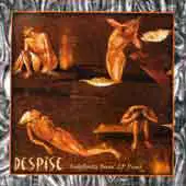Despise - Indefinite Force - LP Demo album cover