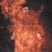 Die Another Day - Wild Fire album cover