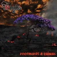 Digits - Footprints and Embers album cover