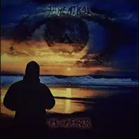 Dinenthal - The Wayfarer album cover