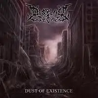 Display Of Decay - Dust Of Experience album cover