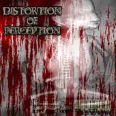 Distortion Of Perception - Project One - DEMO album cover