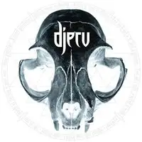 Djerv - Djerv album cover