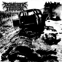 Domestic Terror - Domestic Terror album cover