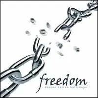 Don Holtzinger - Freedom album cover