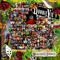Donnie Vie - Beautiful Things album cover