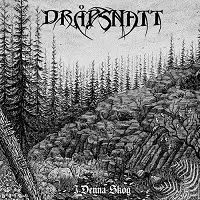 Dråpsnatt - I Denna Skog album cover