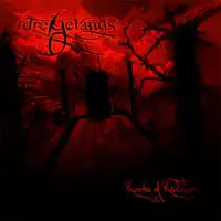 Dreyelands - Rooms Of Revelation album cover