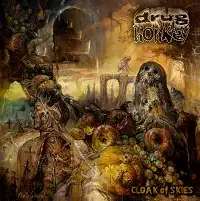 Drug Honkey - Cloak of Skies album cover