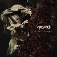 Dying Wish - Fragments of a Bitter Memory album cover