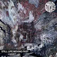 Empress AD - Still Life Moving Fast album cover