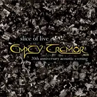 Empty Tremor - Slice of Live - 20th Anniversary Acoustic Evening album cover