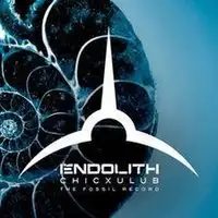 Endolith - Chicxulub - The Fossil Record album cover