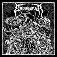 Endseeker - Flesh Hammer Prophecy album cover