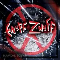 Enuff 'Z Nuff - Diamond Boy album cover