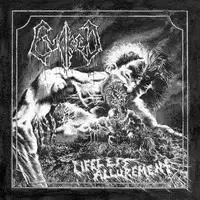 Evoked - Lifeless Allurement album cover