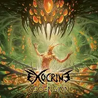 Exocrine - Ascension album cover