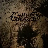 Falling From Grace - Shadows Of The Past album cover