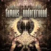 Famous Underground - In My Reflection album cover