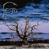 Fejd - Storm album cover