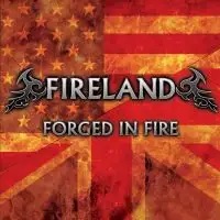 Fireland - Forged in Fire IV: Forged in Fire album cover