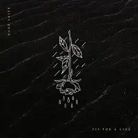 Fit For A King - Dark Skies album cover