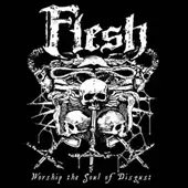 Flesh - Worship The Soul Of Disgust album cover