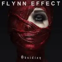 Flynn Effect - Obsidian album cover