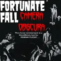 Fortunate Fall - Camera Obscura album cover