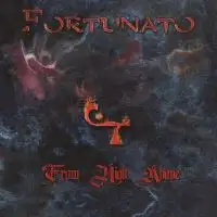 Fortunato - From High Above album cover