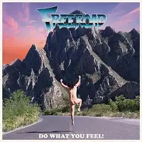 Freeroad - Do What You Feel! album cover