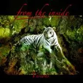 From The Inside - Visions album cover