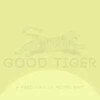 Good Tiger - A Head Full of Moonlight album cover