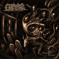 Grim Fate - Perished In Torment album cover