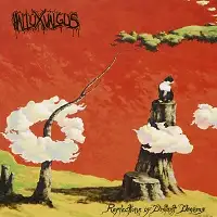 Hallux Valgus - Reflections of Distant Dreams album cover