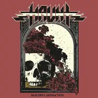 Haunt - Beautiful Distraction album cover