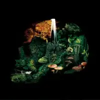 Hexvessel - Iron Marsh album cover