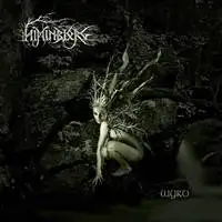 Himinbjorg - Wyrd album cover