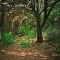 I Am Solitude - I Am Solitude album cover