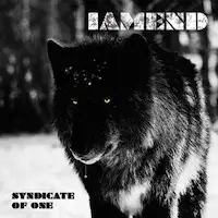 Iamend - Syndicate Of One album cover