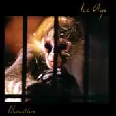 Ice Age - Liberation album cover