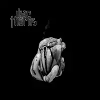 Iliac Thorns - IT album cover