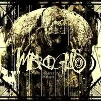 Imbroglio - The Struggle In Pursuit album cover