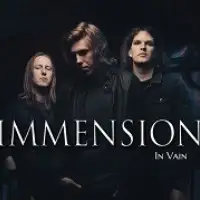 Immension - In Vain album cover