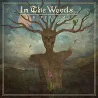 In The Woods... - Duversum album cover