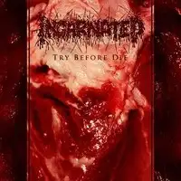 Incarnated - Try Before Die album cover