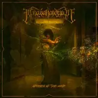 Innasanatorium - Odyssey Of The Mind album cover